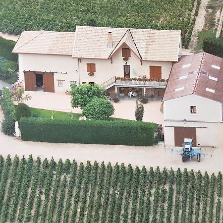 Chambres D Hotes Au Domaine De Robert Fleurie Exterior foto